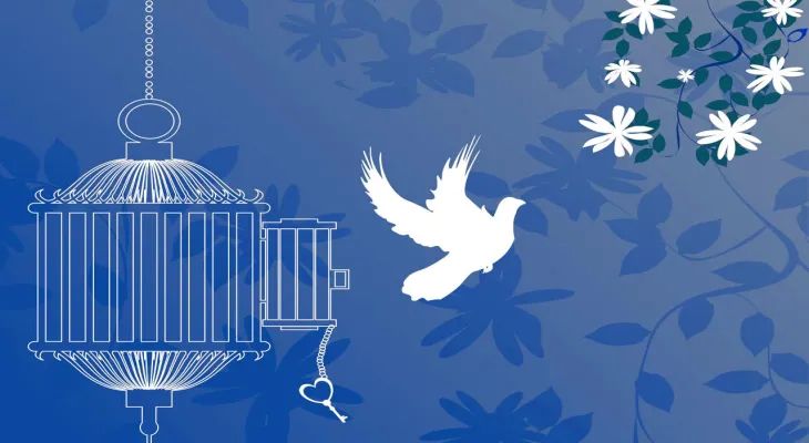 آزادی پنج زن‌زندانی در البرز توسط هنرمند سرشناس