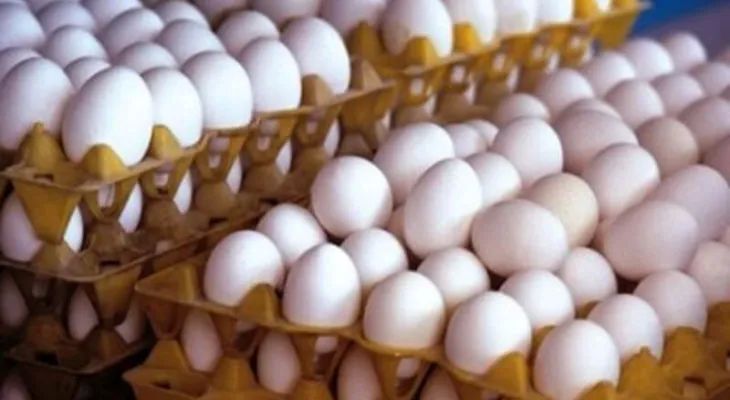 قیمت هرشانه تخم مرغ به ۱۲۵ هزارتومان رسید