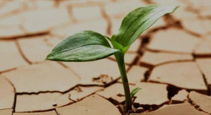 تاب آوری از منظر منابع اسلامی