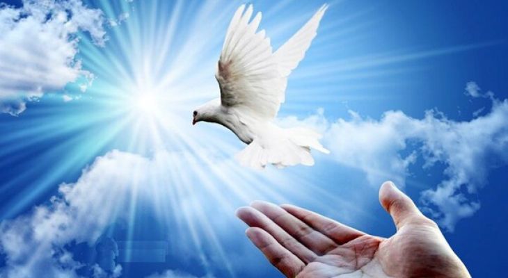 رهایی ۱۳  زندانی البرزی از قصاص نفس