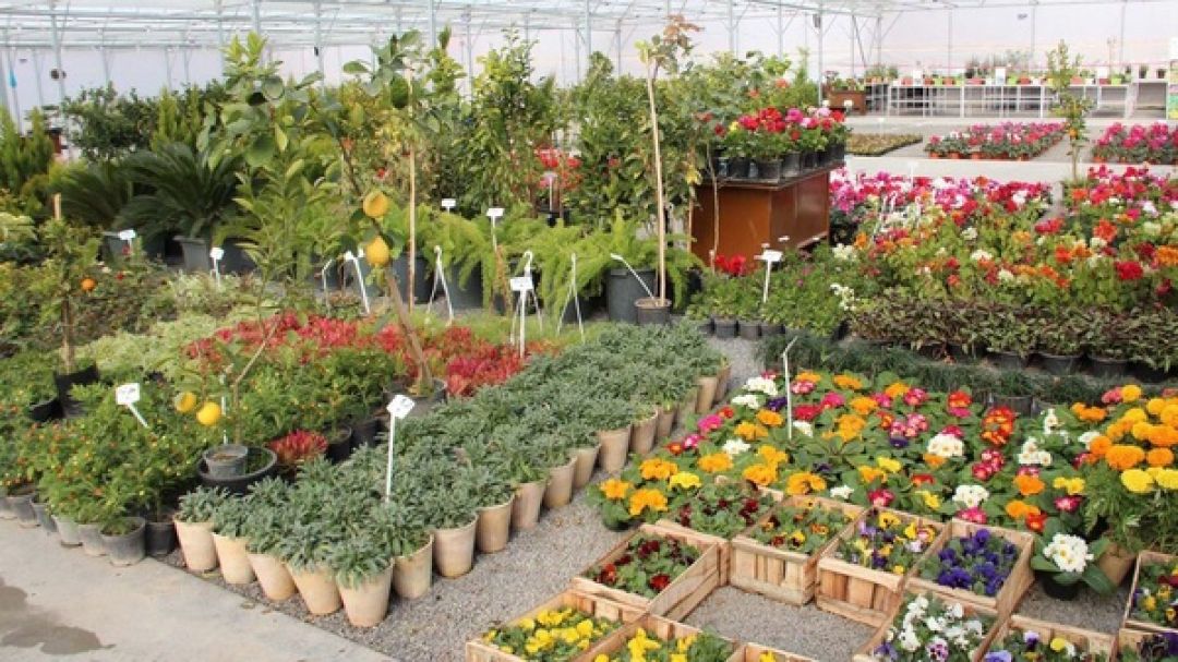 از گلخانه‌های صادراتی تا تپه‌های مریخی