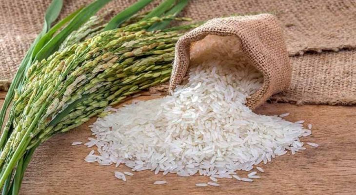 علت نوسانات بازار برنج چیست؟
