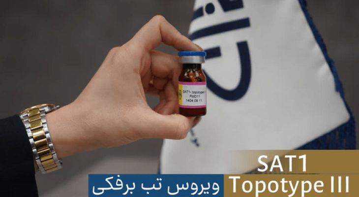 مؤسسه رازی بذر واکسن تب‌برفکی را تولید کرد