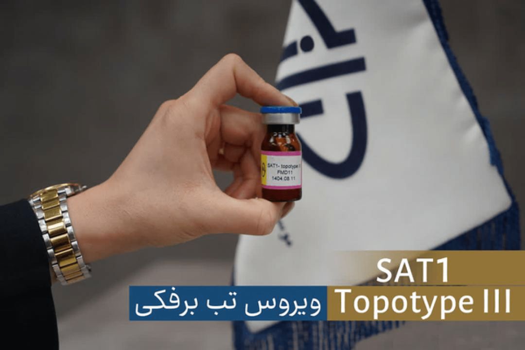 مؤسسه رازی بذر واکسن تب‌برفکی را تولید کرد