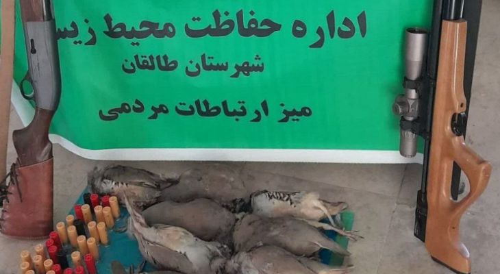 دستگیری شکارچیان کبک در طالقان با ۱۱ لاشه!