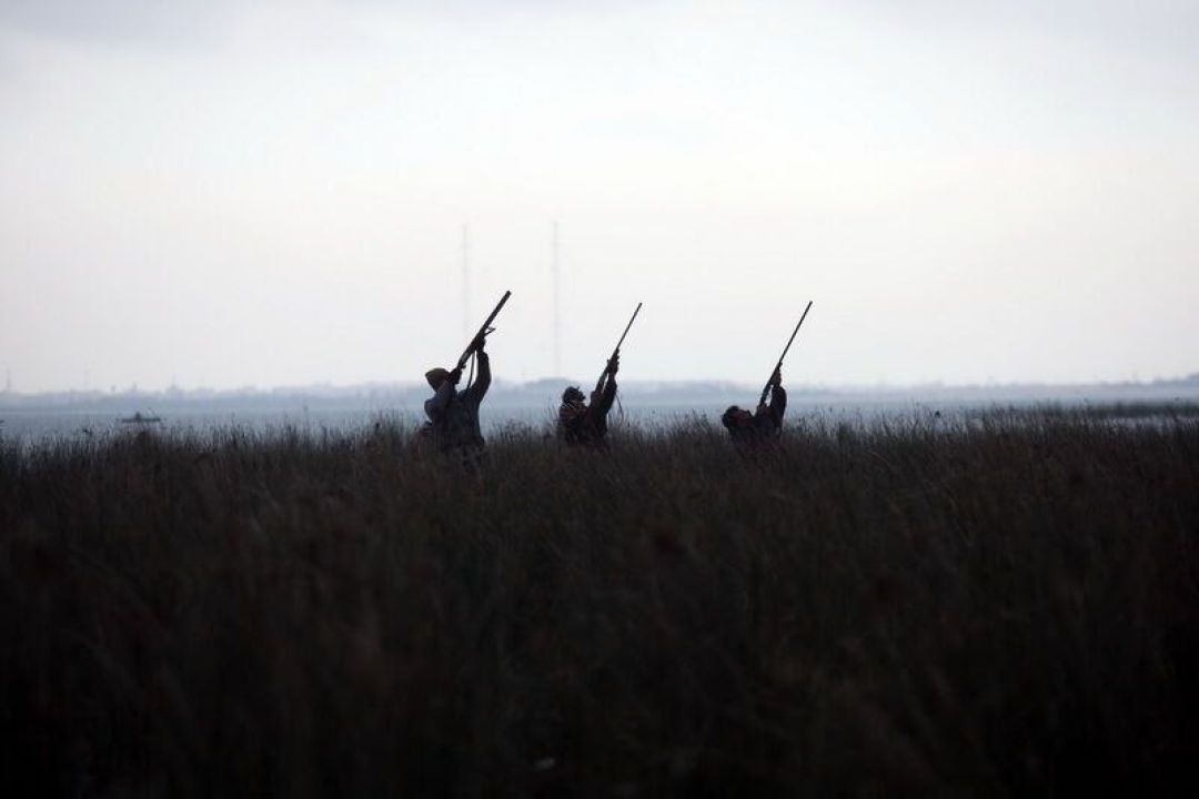 دستگیری شکارچیان متخلف در منطقه شکارممنوع بالا طالقان