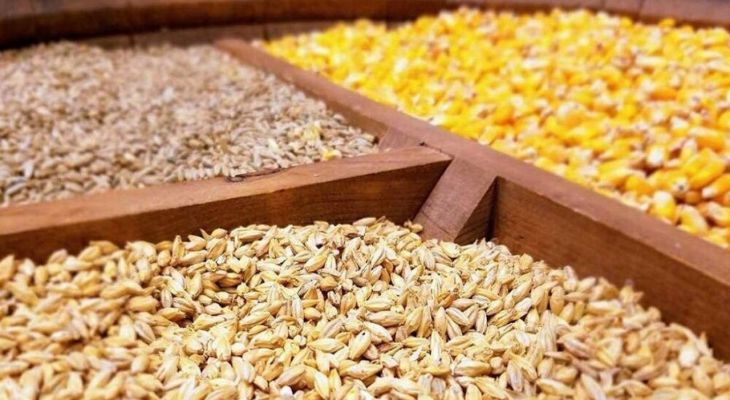 واردات نهاده‌های دامی به بیش از ۱۳ میلیون دلار رسید