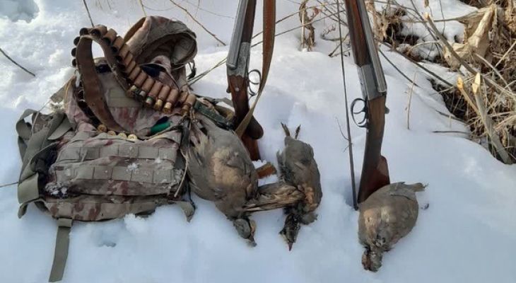 شکارچی غیرمجاز در دام محیط‌بانان البرز
