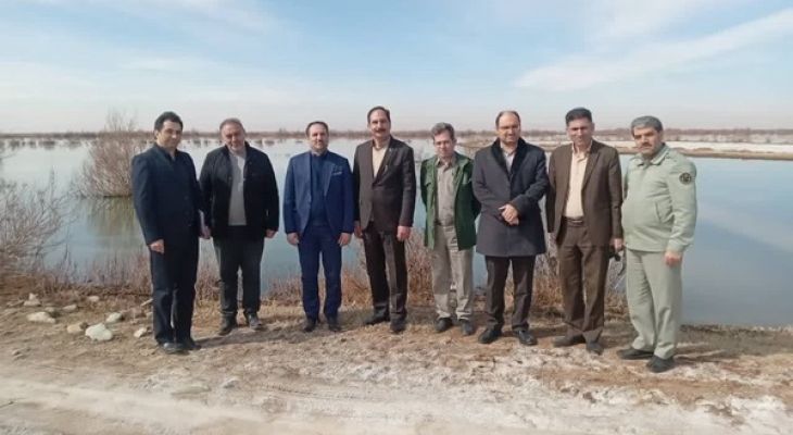 طرح مشترک قضایی و اجرایی برای احیای تالاب صالحیه