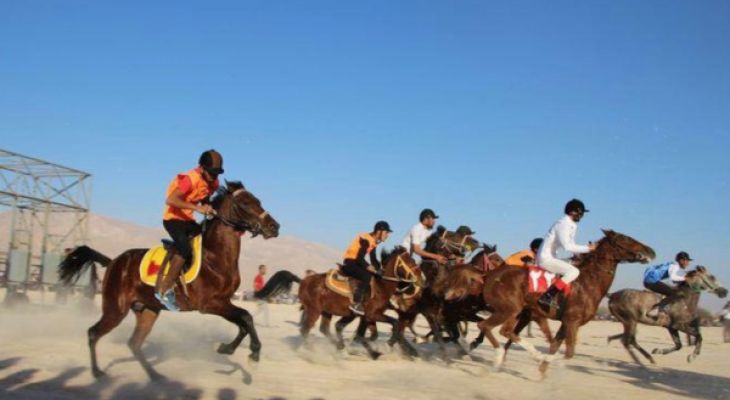 البرز قهرمان و نایب قهرمان سوارکاری کشور شد