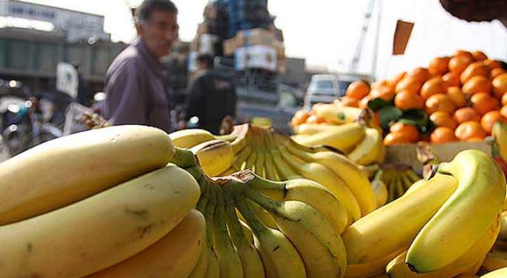سوءمدیریت دولتی، بازار میوه را آشفته کرد