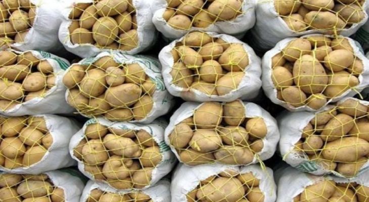 کاهش قیمت سیب زمینی از اواسط فروردین