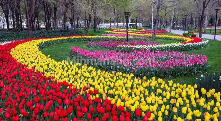 باغ گل‌های لاله؛ رونق گردشگری و اقتصاد هنر