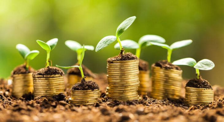 ۱۲۰ شرکت سرمایه‌گذاری در البرز فعالیت دارند