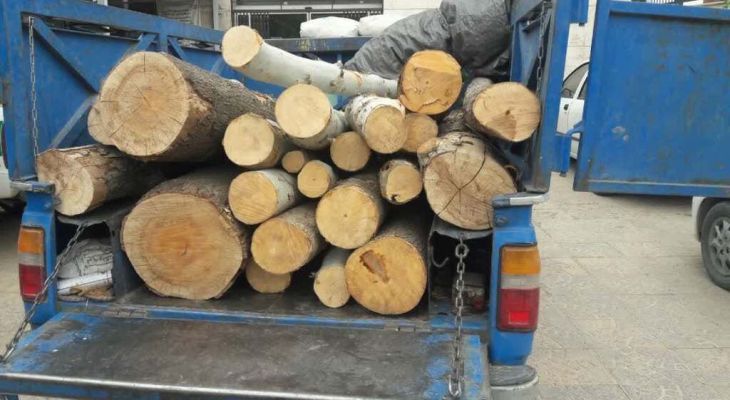 توقیف محموله چوب غیر مجاز در شهرستان نظرآباد