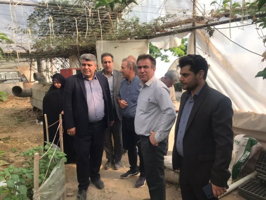 بازدید از سه واحد تولیدی و اقتصادی