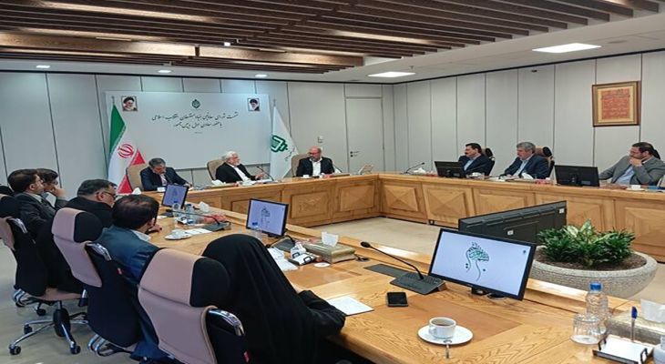 بنیاد مستضعفان رقیب دولت نیست