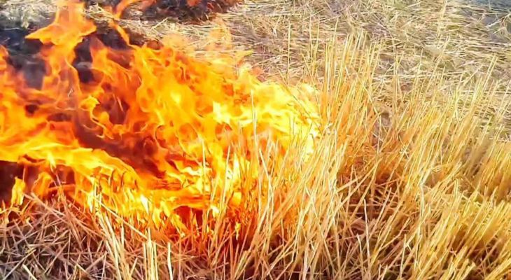منبع آلودگی هوای چهارباغ شناسایی شد