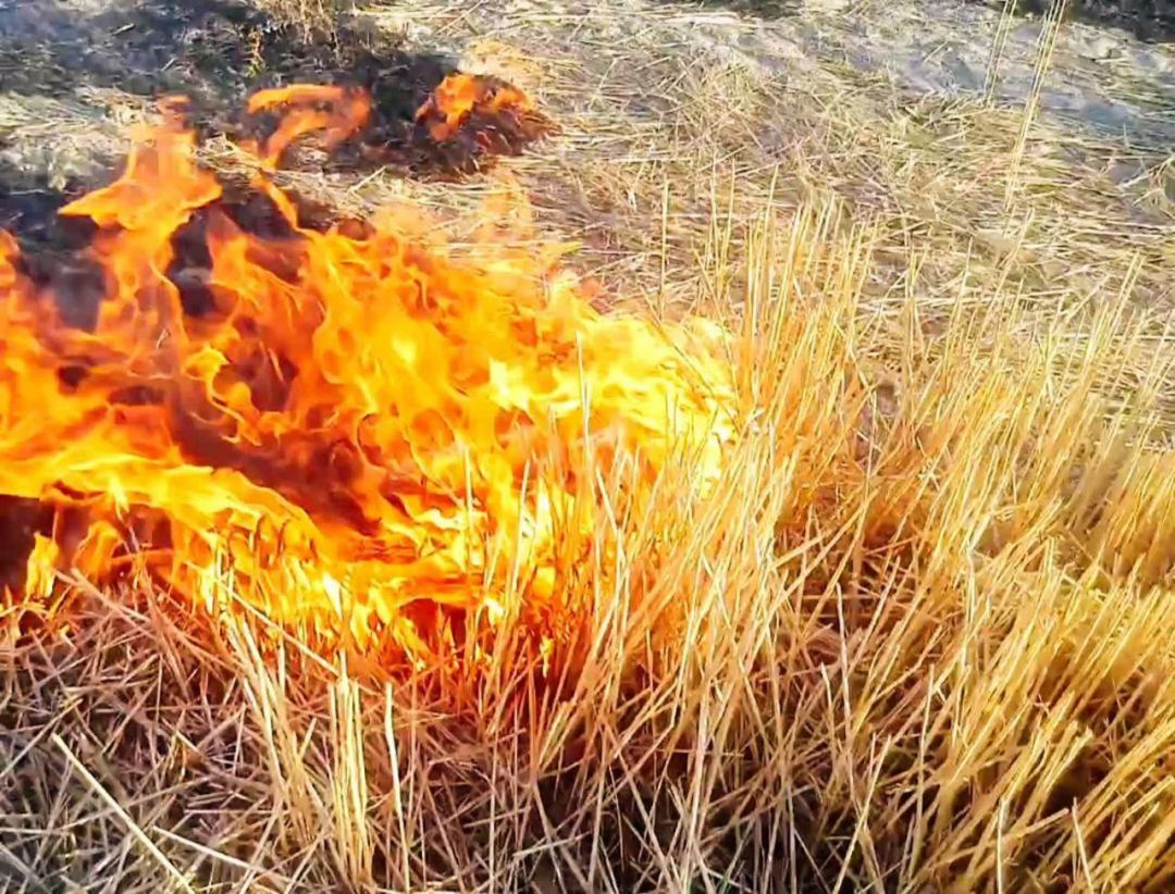 منبع آلودگی هوای چهارباغ شناسایی شد