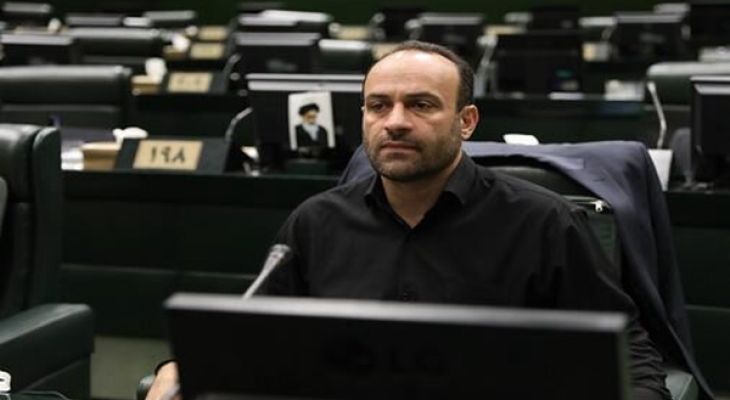 طرح ساماندهی ریزپرنده‌ها در مجلس مصوب شد