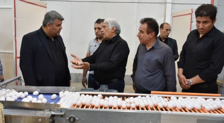 بررسی میدانی مشکلات واحد‌های تولیدی دام‌ و طیور