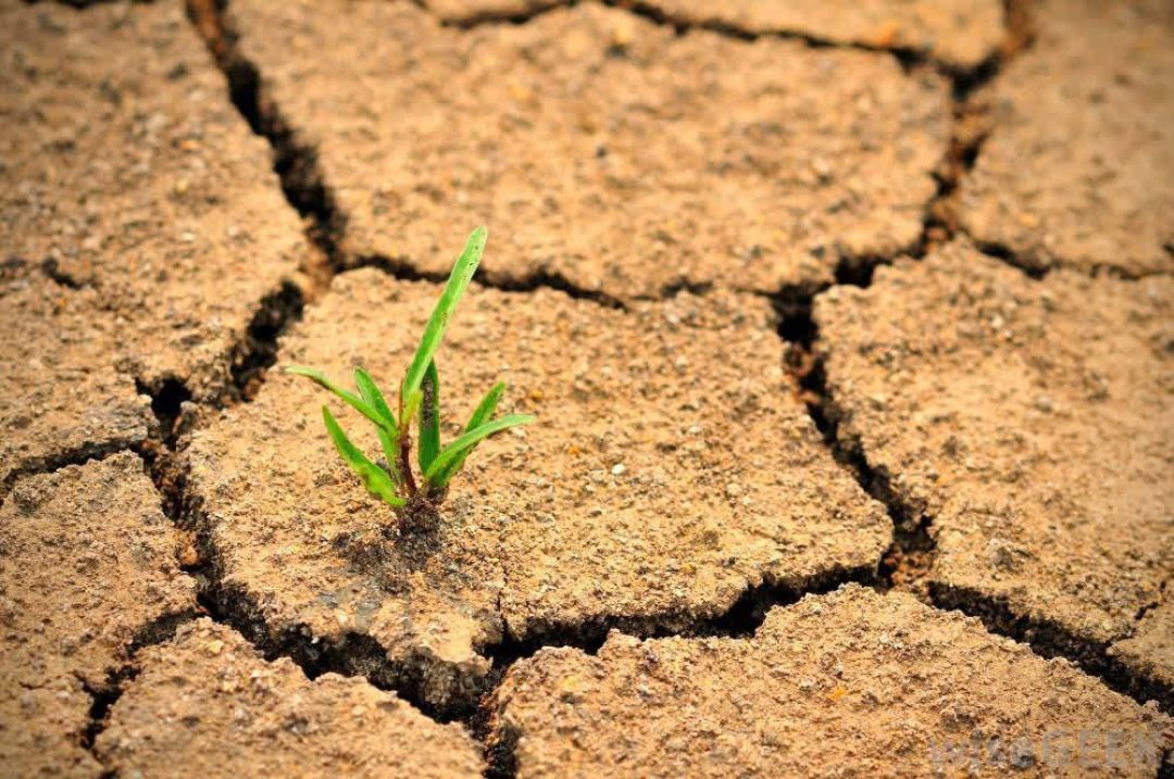 بیابانهای اشتهارد؛ منشأ آلودگی هوای البرز
