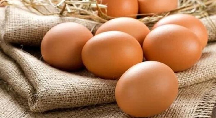 البرز تولیدکننده تخم مرغ مایع در کشور