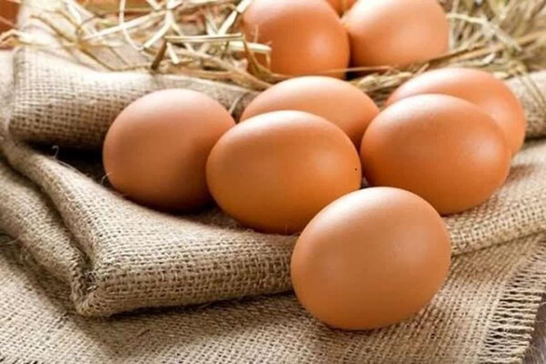 البرز تولیدکننده تخم مرغ مایع در کشور