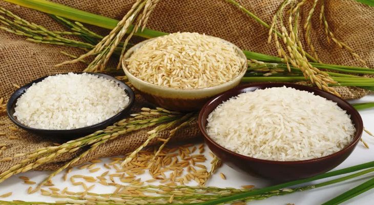 علت افزایش قیمت برنج در البرز