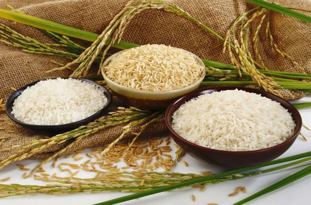 علت افزایش قیمت برنج در البرز