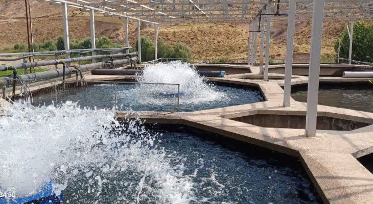 پرورش ماهی؛ فرصتی مناسب برای اشتغال پایدار