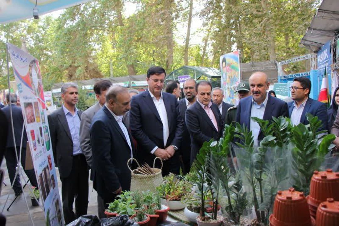 توسعه کشت گلخانهای؛ کلید عبور از کمآبی