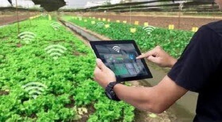 ۱۶ قرارداد فناوری بخش کشاورزی واگذار شد