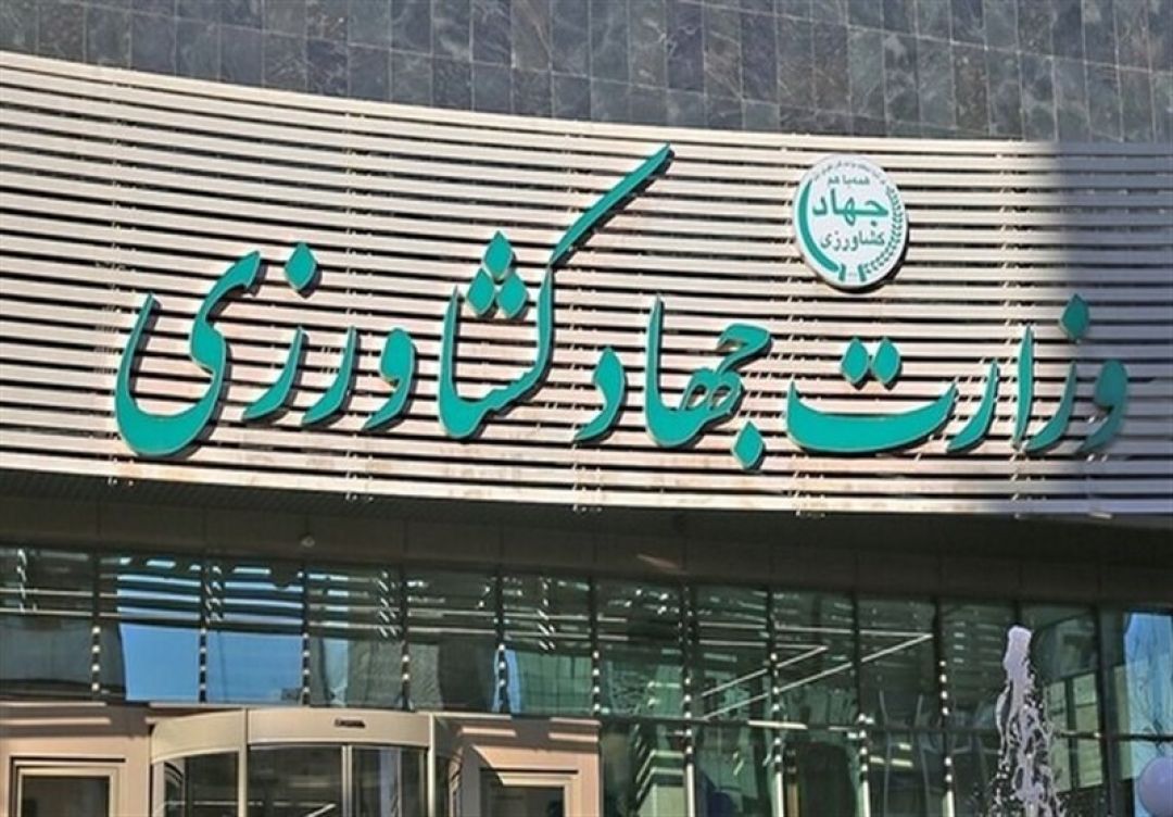 نرخ خرید تضمینی گوشت قرمز کف قیمت است