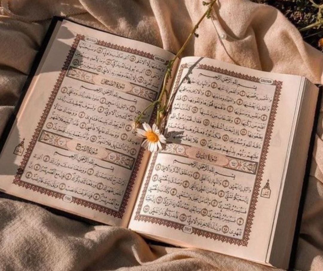 سوره آل‌‌عمران، آیات ۱۰ تا ۱۵