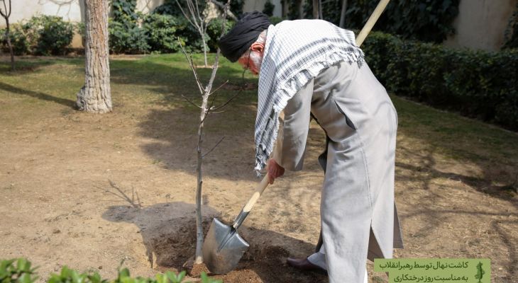 رهبر انقلاب در روز درختکاری سه نهال کاشتند