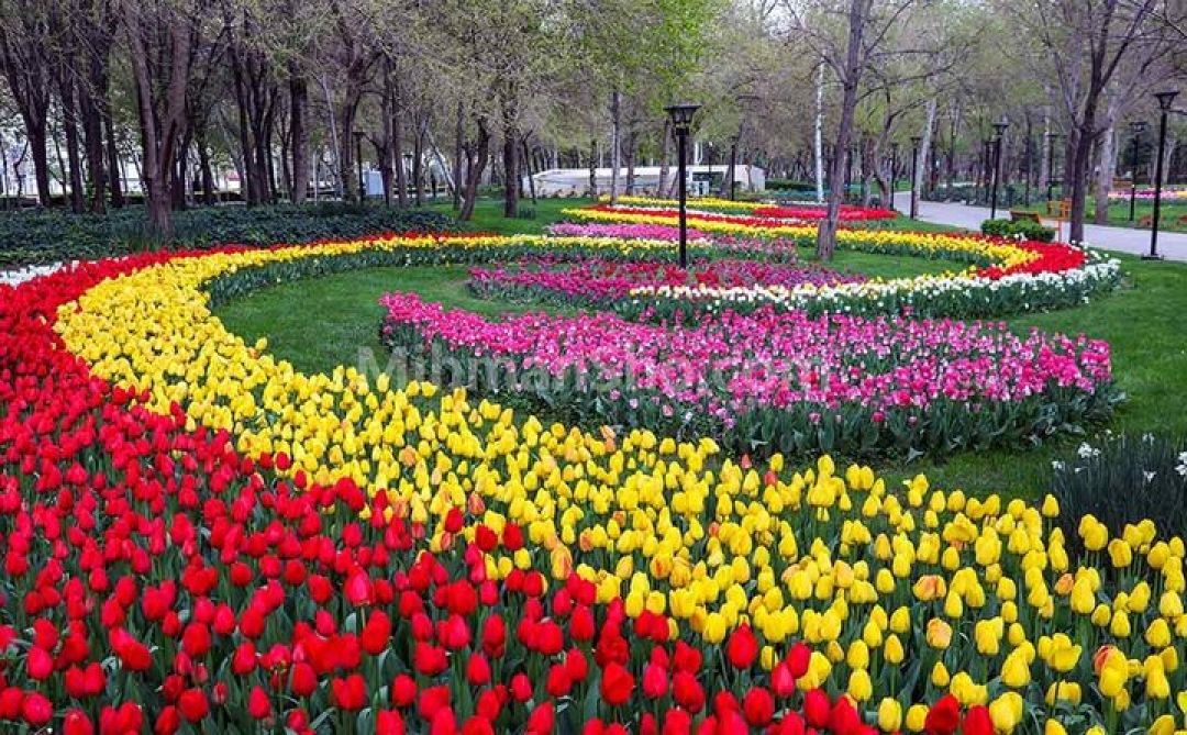 باغ گلهای لاله؛ رونق گردشگری و اقتصاد هنر