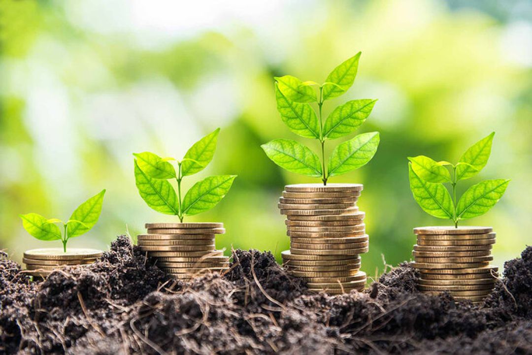 سهم البرز در سرمایهگذاری برای تولید