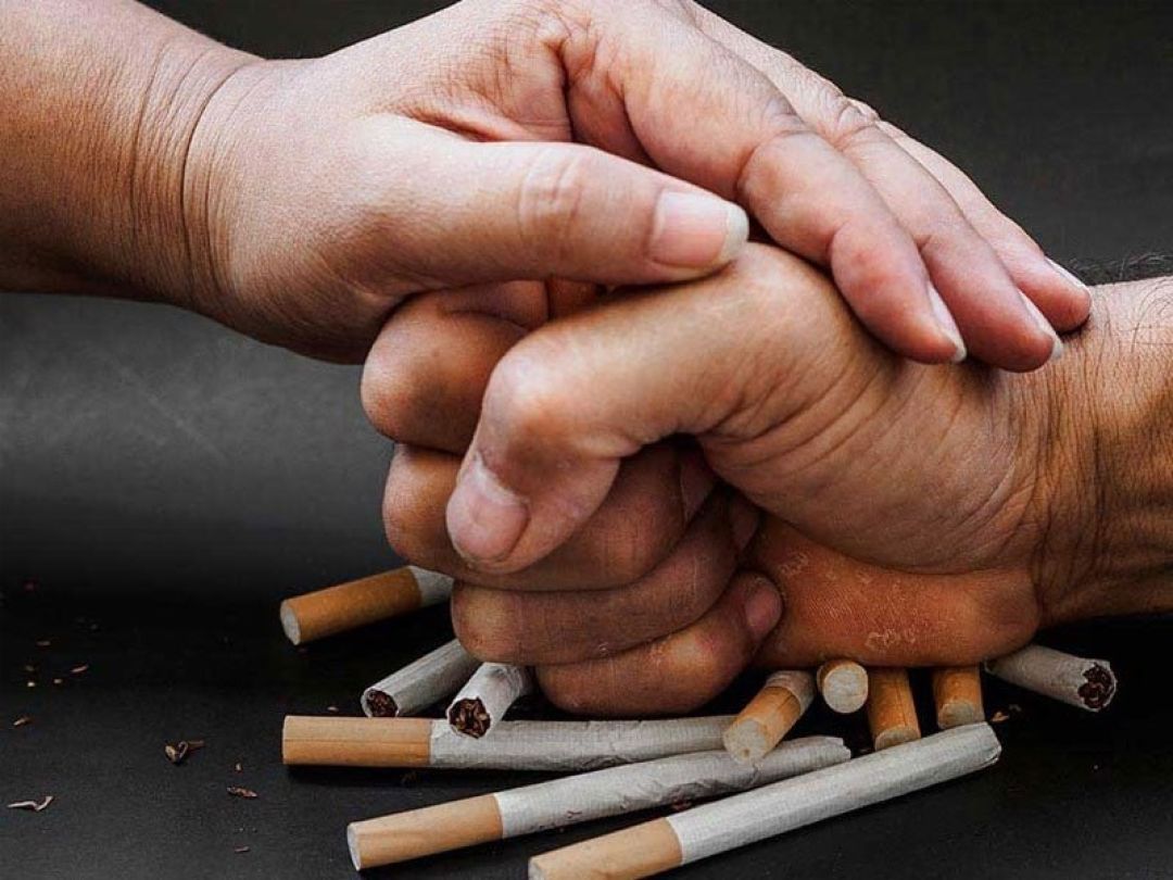 فرهنگ، سد محکم در برابر اعتیاد