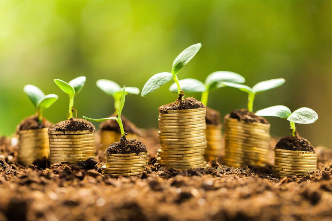 ۱۲۰ شرکت سرمایهگذاری در البرز فعالیت دارند