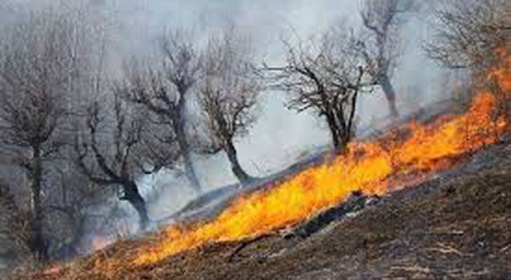 بررسی علت آتش‌سوزی در منطقه حفاظت‌شده البرز جنوبی