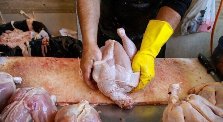بازار مرغ کی متعادل می‌شود؟